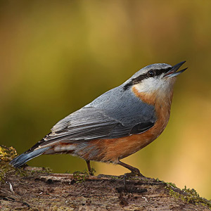 Fotos von Jürgen Schmidt