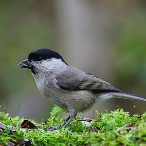 Fotos von Jürgen Schmidt
