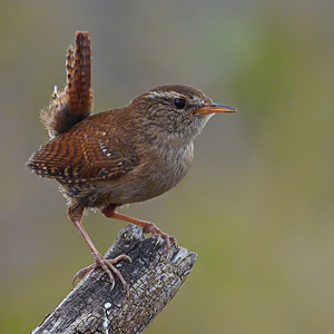Fotos von Jürgen Schmidt