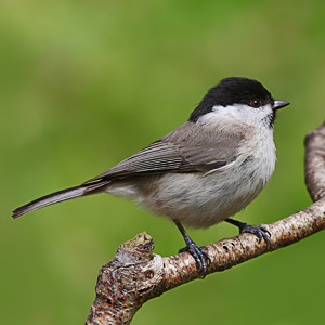 Fotos von Jürgen Schmidt