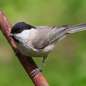 Fotos von Jürgen Schmidt