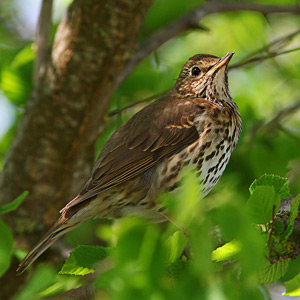 Fotos von Jürgen Schmidt