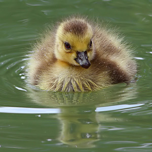 Fotos von Jürgen Schmidt