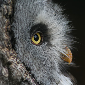 Fotos von Jürgen Schmidt