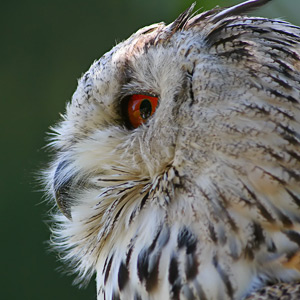 Fotos von Jürgen Schmidt