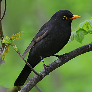 Fotos von Jürgen Schmidt