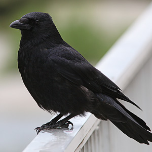 Fotos von Jürgen Schmidt