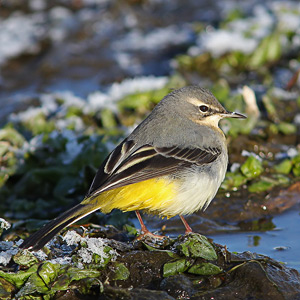 Fotos von Jürgen Schmidt