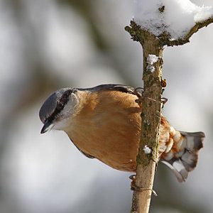 Fotos von Jürgen Schmidt
