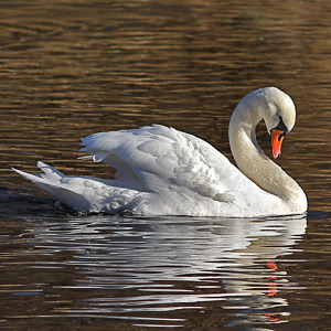 Fotos von Jürgen Schmidt