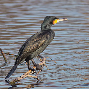 Fotos von Jürgen Schmidt