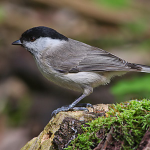 Fotos von Jürgen Schmidt