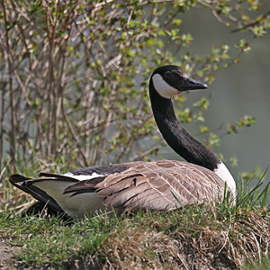 Fotos von Jürgen Schmidt