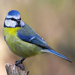 Fotos von Jürgen Schmidt