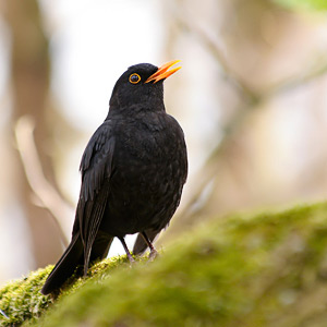 Fotos von Jürgen Schmidt